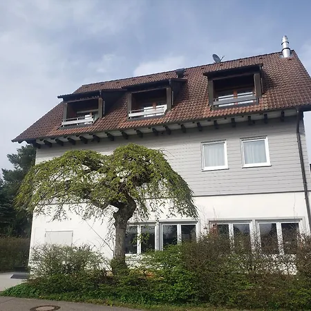 Alter Hirsch Pfalzgrafenweiler