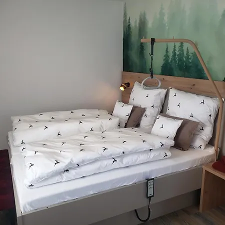 Alter Hirsch Guest house Pfalzgrafenweiler